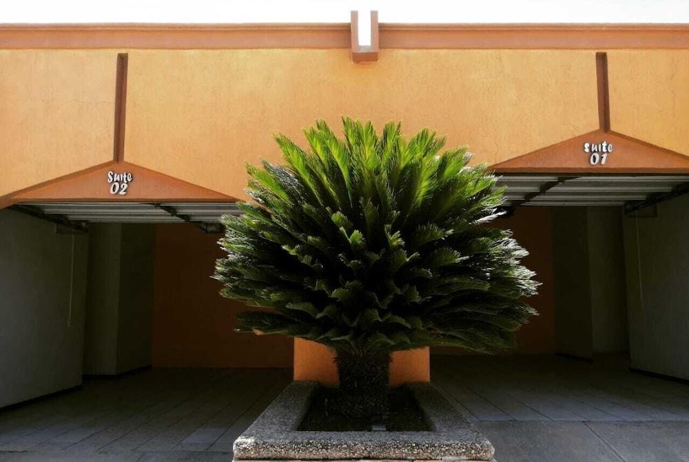 El Cason Hotel Τσιχουάχουα Εξωτερικό φωτογραφία